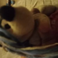 Minniemouse234567890
