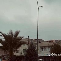 gül3535
