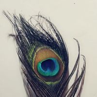 Priti_$tr