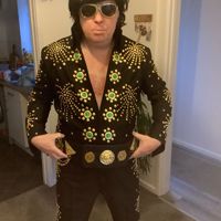 Stanelvisstar