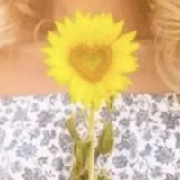 ДюНа🌼̥ͦ࿐
