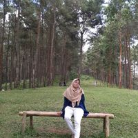 de_on_mi