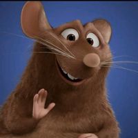 🦋Ratatouille🐀07🦋