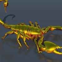 ༒☬GOLDScorpion☬5