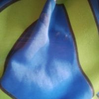 Garythedino