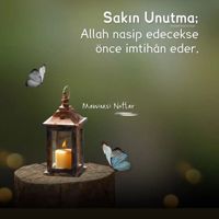 SevilKi_star56439145