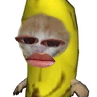 Viet_Baudelaire