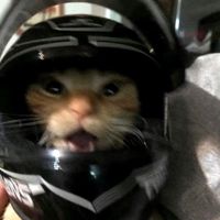 kittymeowww