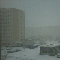 Матвей_Надым