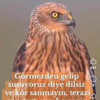 🦅🇹🇷KARTALLL🦅turannn🇹🇷🦅