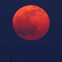 🎷☀️🌕Alma👑Luna🌕☀️🎷