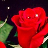 ❂࿐‎‏‏𝄟⑅NUR🌟🥀🌟🎼