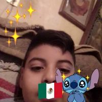 62164383541