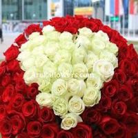 UsmaneGhani_star