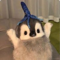 꾸궁🐱
