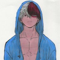 FusionTodoroki