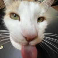 Kami💗