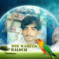 BalochWaheed
