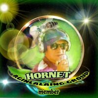 🍏GreenHornet🍏*WCV*🍏
