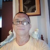 💫💥🌜🦜JESUS💫💥🌛🦜