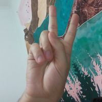 palmrest
