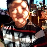 DavidCo_star80325020