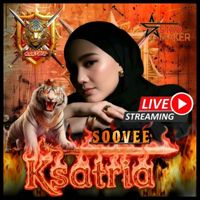 🇮🇩𝐊𝐒𝐓⚔️─━⊱sᴏo֟፝ᴠᴇᴇ⊰━─