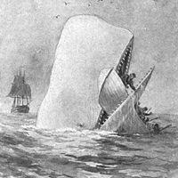 NoahAle