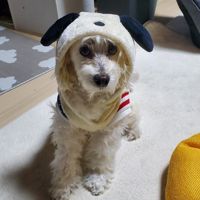 ヤンゴン
