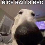 DbeeAHHH