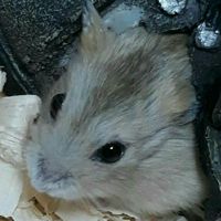 재욱게임