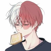 Todoroki-shoto-star