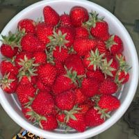 Hilola_Fazliddinovna