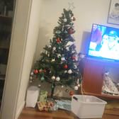 Paige23_star73922948