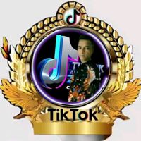 🌏🎻CREATOR🎸⭐🎸TIKTOK🎻🌏