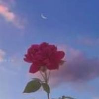 Br_star318