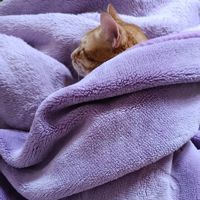 😇💫🗣️🐈Bendj16😇