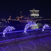 ふなはっしー。