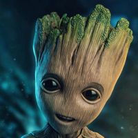 Ingrid_Groot
