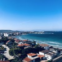 MERT_star82895045
