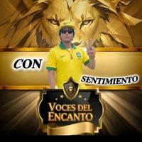 📀𝐂𝐎𝐍_𝐒𝐄𝐍𝐓𝐈𝐌𝐈𝐄𝐍𝐓𝐎🏆🅥🅓🅔