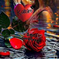 𝄞🌹GÖNÜL🌹𝄞🕊️