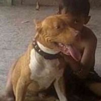 AndriAn_star92178127