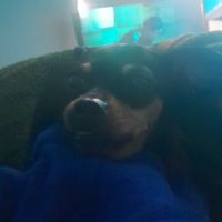 BANQUEZ_star326