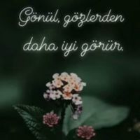 Çalıkuşu1