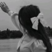 Lado_vna999
