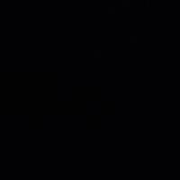 AdelBel_star13921