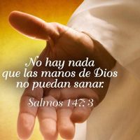 Entupresencia🤍