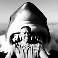 ⚓Олег🦈ИваSea⚓