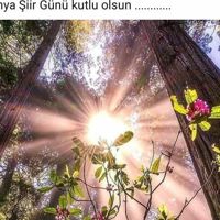 MelihArslantürk